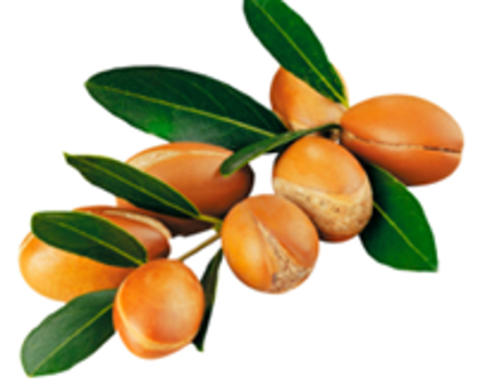 Масло жожоба