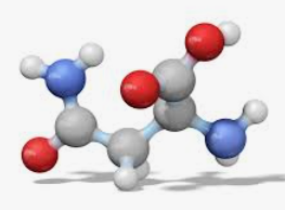 Аминокислоты