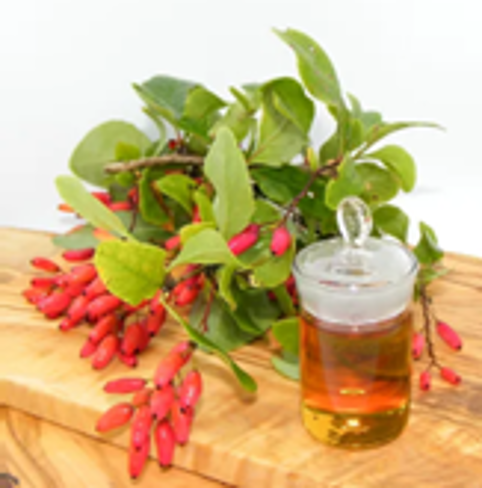 Экстракт иглицы