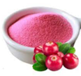 Экстракт клюквы