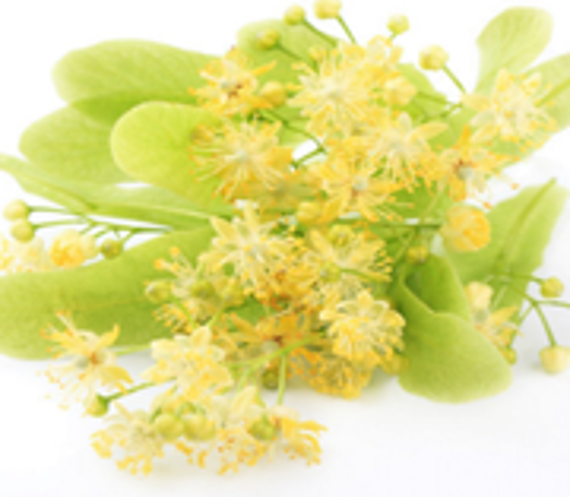 Гидролат липы