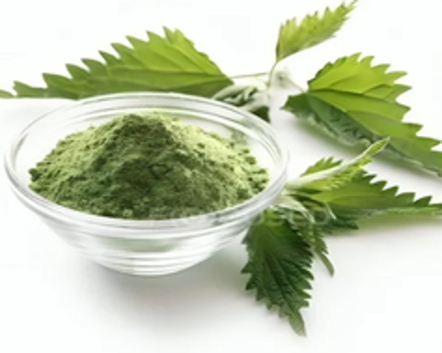 Экстракт крапивы