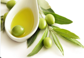 Экстракт оливы
