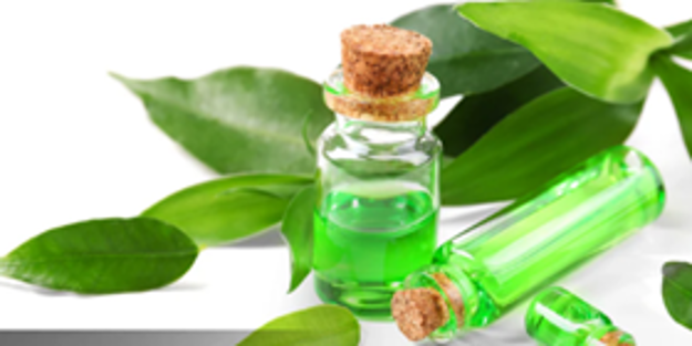 Экстракт чайного дерева