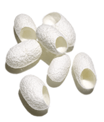 Гидролизованные протеины шелка